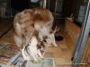comp_dsc01743