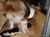 comp_dsc01744