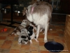 comp_dsc01751