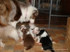 comp_dsc01752