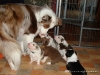 comp_dsc01753