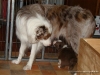 comp_dsc01758