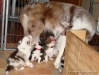comp_dsc01760