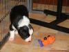 comp_dsc01761