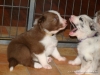 comp_dsc01762