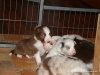 comp_dsc01764