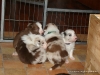 comp_dsc01765