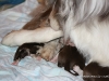 cimg_3459