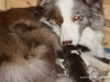 cimg_3478