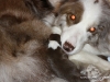 cimg_3479