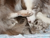cimg_3480