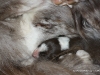 cimg_3484