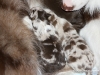 cimg_3486