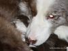 cimg_3489