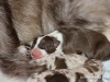 cimg_3502