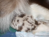 cimg_3535