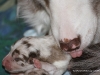 cimg_3536