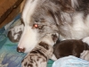 cimg_3538