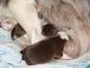 cimg_3545