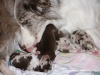 cimg_3553