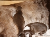 cimg_3563