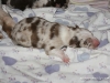 cimg_3566