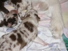 cimg_3573