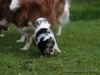 c1IMG_5863
