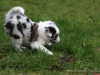 c1IMG_6003