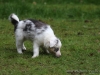 c1IMG_6007
