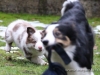 cIMG_4894