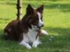 cIMG_6229
