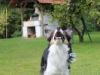 cIMG_6589