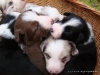 comp_dsc01774