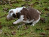 comp_dsc01778