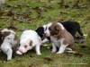 comp_dsc01782