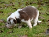 comp_dsc01785