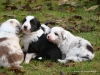comp_dsc01786