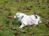 comp_dsc01789