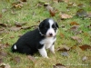 comp_dsc01792
