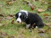 comp_dsc01797