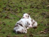comp_dsc01805