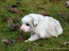 comp_dsc01808