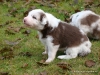 comp_dsc01811