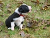 comp_dsc01812