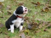 comp_dsc01813
