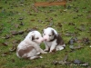 comp_dsc01818
