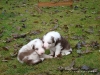 comp_dsc01819