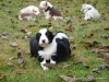 comp_dsc01824