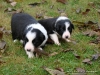 comp_dsc01826